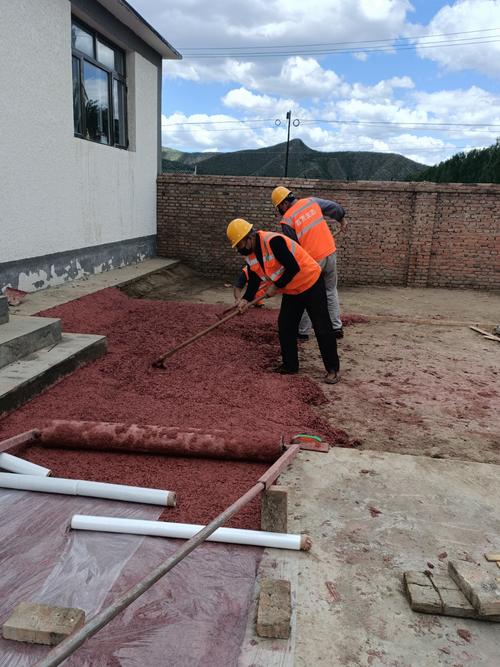科技产品融入新农村建设,这个村的蔬菜分拣厂不一般